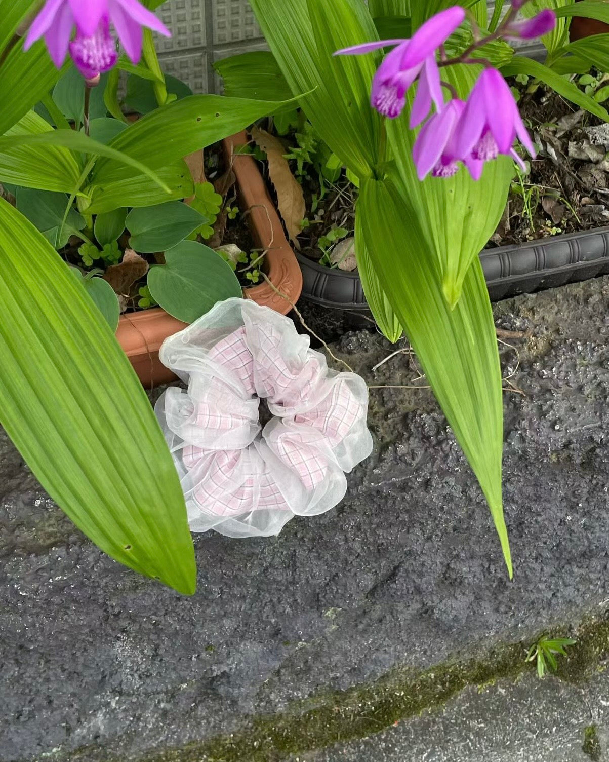 Bean sprout scrunchie🌱